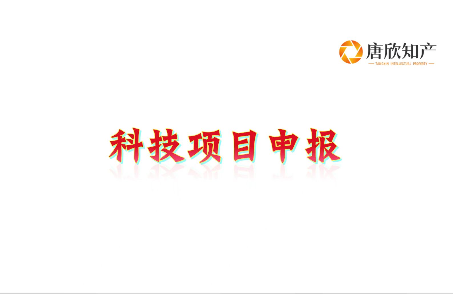 国家级科技型中小企业(咨询服务)